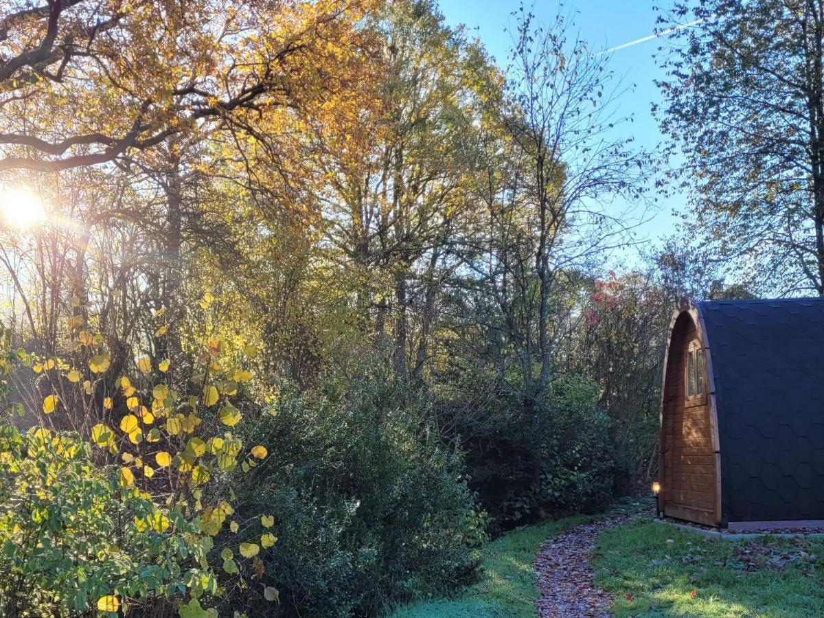 Apartamento Pods Alte Schule Elchweiler Exterior foto