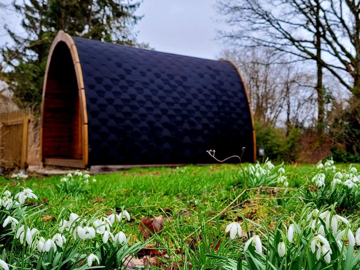 Apartamento Pods Alte Schule Elchweiler Exterior foto