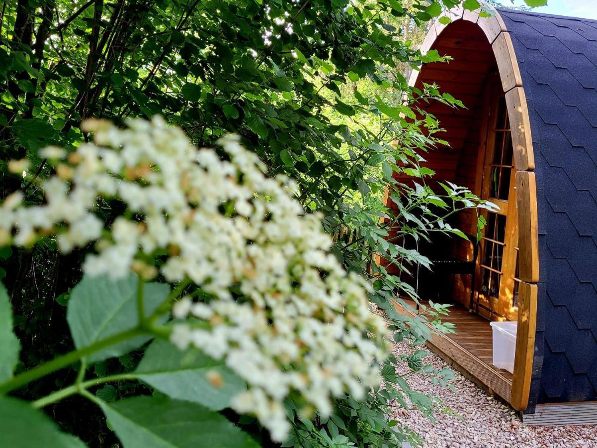 Apartamento Pods Alte Schule Elchweiler Exterior foto